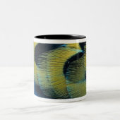 Federoberfläche 4 zweifarbige tasse (Mittel)