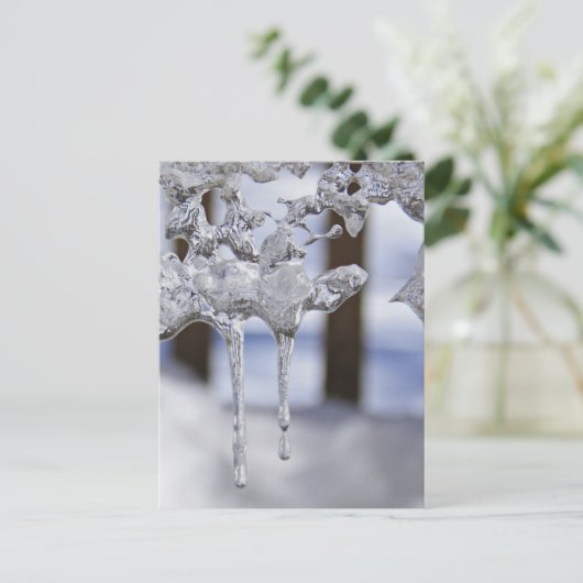 Federringe Postkarte (Stehend Vorderseite)