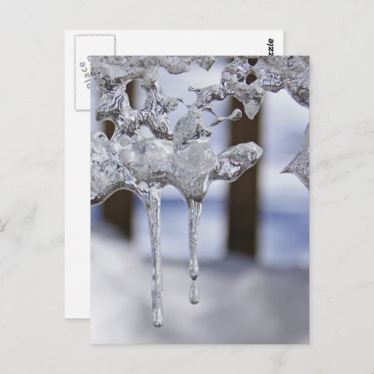 Federringe Postkarte (Vorne/Hinten)