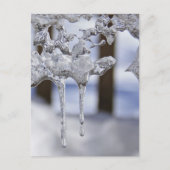 Federringe Postkarte (Vorderseite)