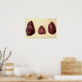 Federspitzen Poster (Küche)