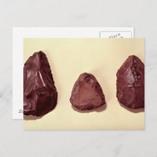 Federspitzen Postkarte (Vorne/Hinten)