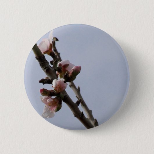 Federtaste Button (Vorderseite)