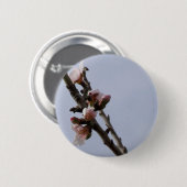 Federtaste Button (Vorne & Hinten)
