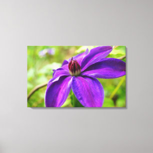 Federung Leinwanddruck