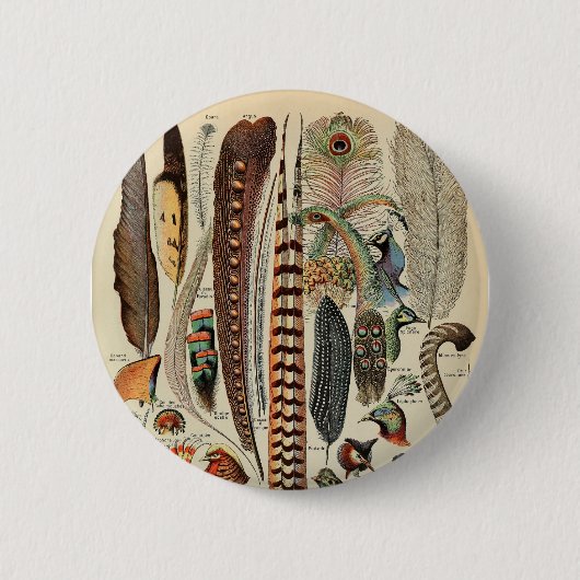 Federvogel-Wildlife-Antike-Federn Button (Vorderseite)