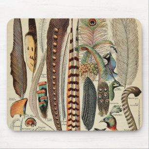 Federvogel-Wildlife-Antike-Federn Mousepad