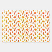 Federwrapping Paper Flat Sheet Set 3 Geschenkpapier Set (Vorderseite 2)