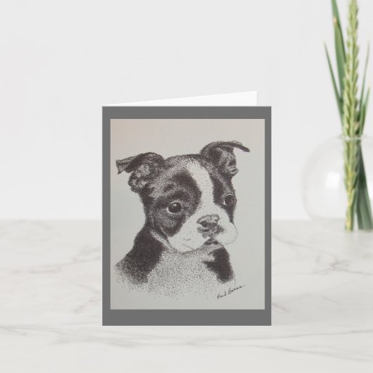 Federzeichnen von Boston-Terrier Karte (Vorderseite)