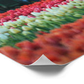 Federzug Poster (Ecke)