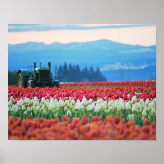 Federzug Poster (Vorne)