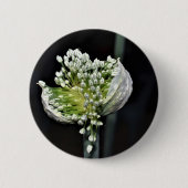 Federzwiebel Button (Vorderseite)