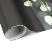 Federzwiebel Geschenkpapier (Rolleneckpunkt)