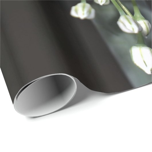 Federzwiebel Geschenkpapier (Rolleneckpunkt)