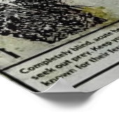 Fedra-Bühnen Poster (Ecke)