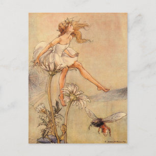 Fee auf einem Gänseblümchen Postkarte