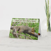 Fee Better Balon Funny Sleepy Eichhörnchen