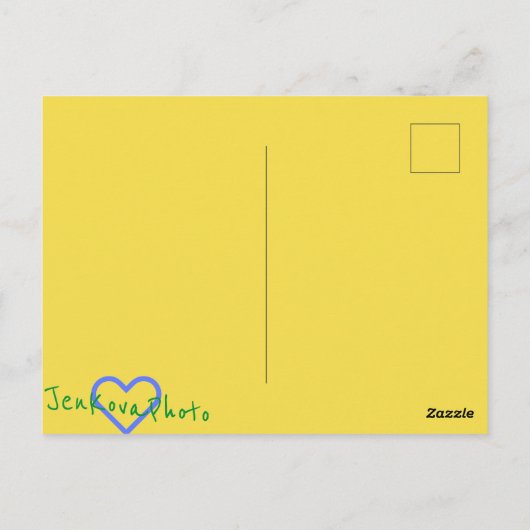 Fee fen Postkarte (Rückseite)