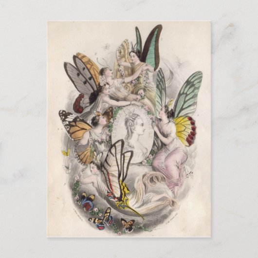 Fee für antike Fairies Nymphen drucken Postkarte (Vorderseite)