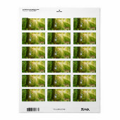 Fee im Zauberwald mit Bambi und Schmetterling Adressaufkleber (Vorne)