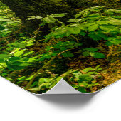 Fee im Zauberwald mit Bambi und Schmetterling Poster (Ecke)