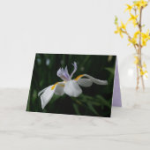 "Fee Iris" GREETING CARD Karte (Gelbe Blume)