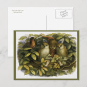 "Fee mit Eulen" von Doyle Postkarte (Vorne/Hinten)