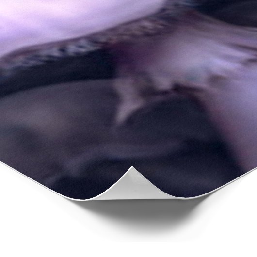 Fee mit Pilzplakat ab 14.95 Uhr Poster (Ecke)