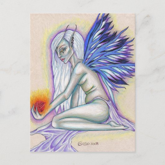 Fee Rose Postkarte (Vorderseite)