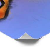 Fee- und Schmetterlingposter Poster (Ecke)