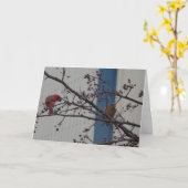 Feeding Cardinals, Happy Anniversary Karte (Gelbe Blume)