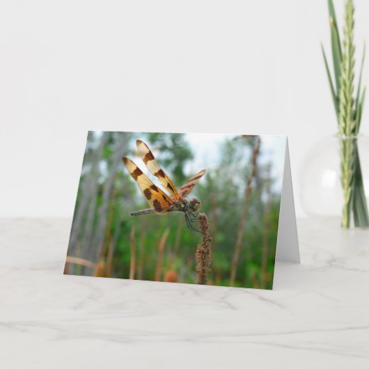 Feeding Time Karte (Vorderseite)