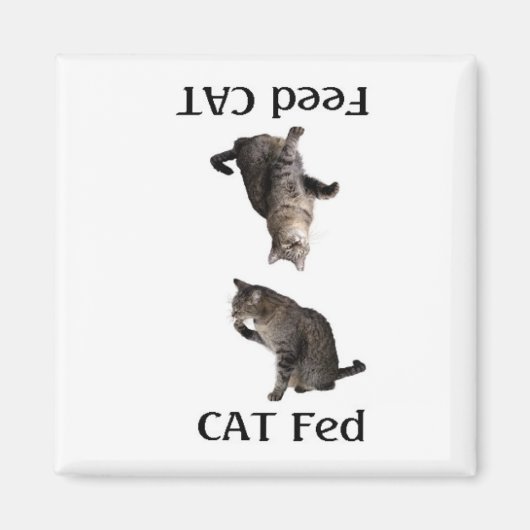 FeedTheCat Magnet (Vorne)