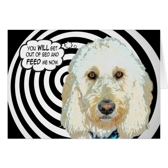 Feeed Meee! (Vorderseite (Horizontal))