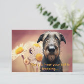 Feel Better bald Irish Wolfhound (Stehend Vorderseite)