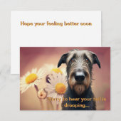 Feel Better bald Irish Wolfhound (Vorne/Hinten)