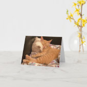 Feel Better Get Well Card Ginger Tiger Kitty Cat Karte (Gelbe Blume)