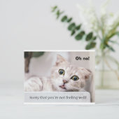 Feel Better Kitty Postkarte (Stehend Vorderseite)