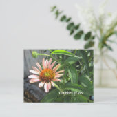 Feel Better Pink Daisy Postkarte (Stehend Vorderseite)