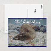Feel Better Soon (Sea Lion) - Postcard Postkarte (Vorne/Hinten)