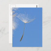 Feel free - Flying Dandelion seed Postkarte (Vorne/Hinten)
