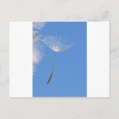 Feel free postkarte (Vorderseite)