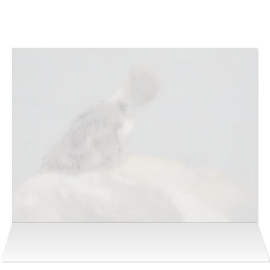 Feelin' Ducky - Duckling Get Well Card (Innenansicht Horizontal (Oben))