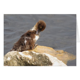 Feelin' Ducky - Duckling Get Well Card