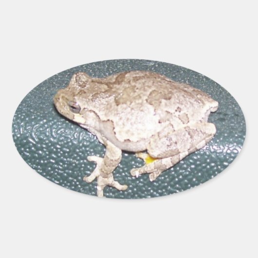 Feelin' Froggy! Ovaler Aufkleber (Vorderseite)