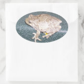 Feelin' Froggy! Ovaler Aufkleber (Tasche)