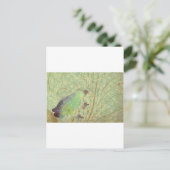 Feelin' Froggy Postkarte (Stehend Vorderseite)
