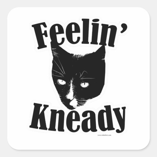 Feelin Kneady Funny Cat Niedliches Foto Slogan Quadratischer Aufkleber (Vorderseite)