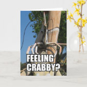 FEELING CRABBY? MEME KARTE (Gelbe Blume)
