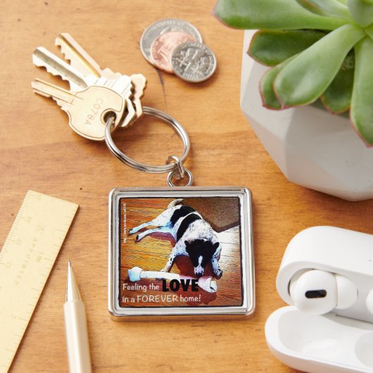 Feeling The Love Border Collie Schlüsselanhänger (Schreibtisch)